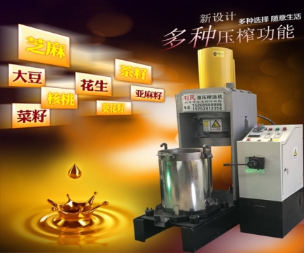 枣庄新型全自动榨油机